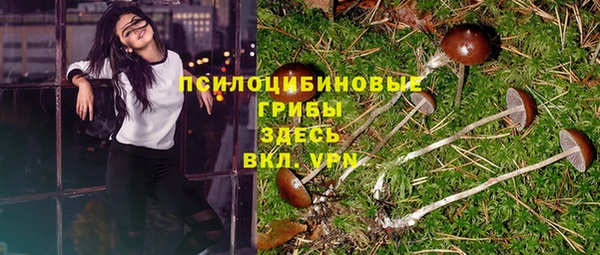 а пвп мука Заволжье