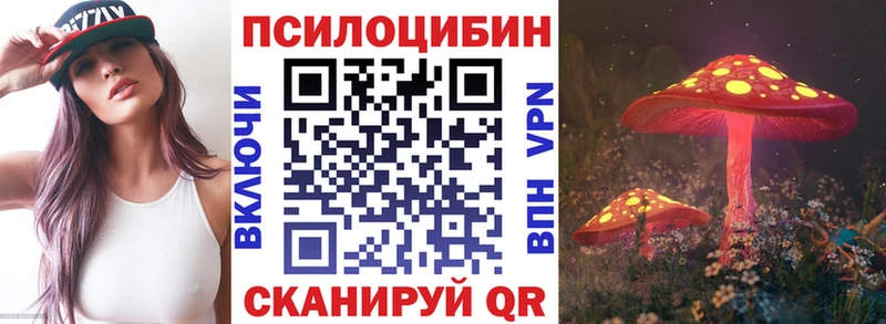 Псилоцибиновые грибы Cubensis  Купить где  Карабаш 